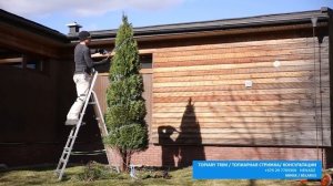 ТУЯ СМАРАГД | ХИТРОСТИ СТРИЖКИ ТУИ СПИРАЛЬ | Thuja Smaragd | @user-qs3ui4et9d