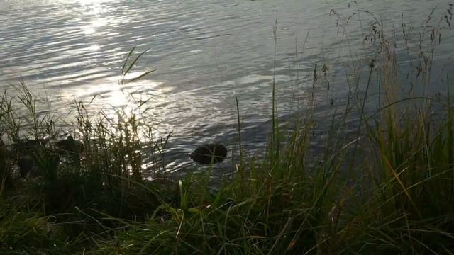 Влог: Отпуск. Родители. Наш Дом. Что с Весом смотреть онлайн