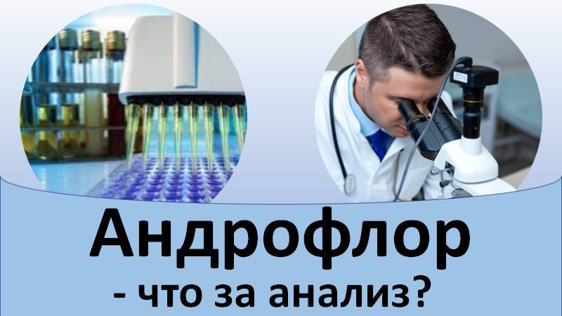 Андрофлор - что это? смотреть онлайн