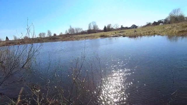 Спасаем пруд от гибели: как очистить и углубить старый пруд. Пруд на участке для рыбы и раков смотреть онлайн