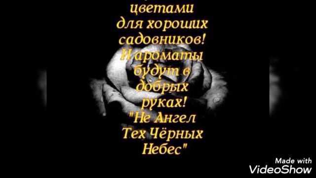 Мы всегда готовы помочь тем кто в Нас нуждается в добре и в любви! "Не Ангел Тех Чёрных Небес" смотреть онлайн