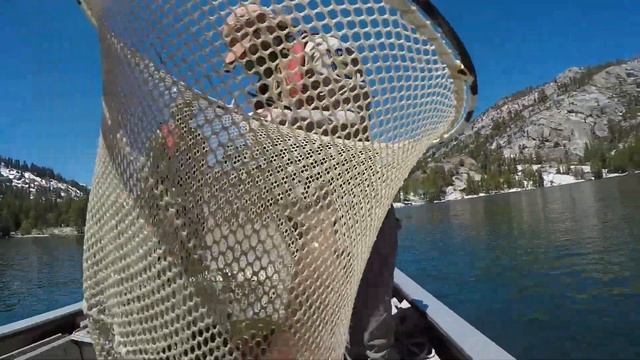 CDFW Creating Lahontan Cutthroat Trout Sport Fishery at Echo Lake смотреть онлайн