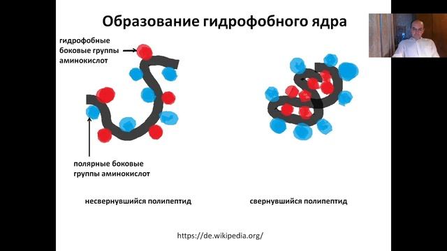 Лекция 12. Структура белка (2022)