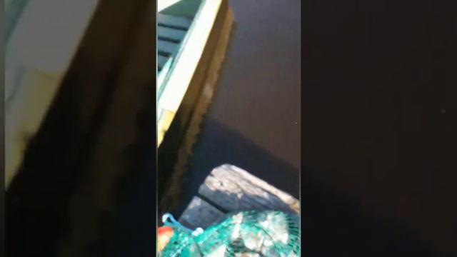 Рыбалка и отдых на лиманах. смотреть онлайн