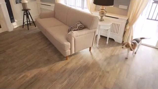 Швабра Ровус Спрей Моп – помощница, которая должна быть в каждом доме! смотреть онлайн