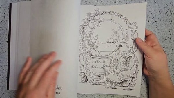 Moonlight Mischief Flip Through | R.J. Hampson | Adult Coloring