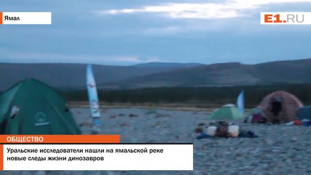Уральские исследователи нашли на ямальской реке новые следы жизни динозавров смотреть онлайн