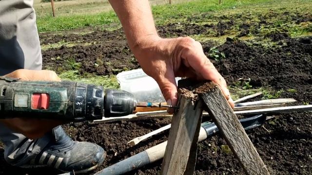 Инструкция по посадке кедра с открытой корневой системой 26 августа 2020 года смотреть онлайн