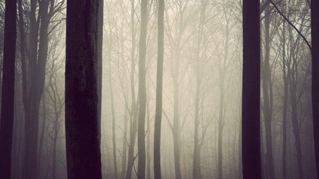 Mujician - There's No Going Back Now смотреть онлайн
