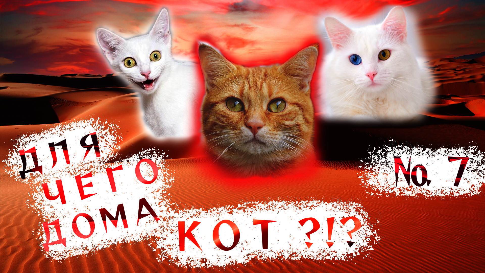 Вот зачем дома НУЖЕН КОТ!!! ?(7). смотреть онлайн