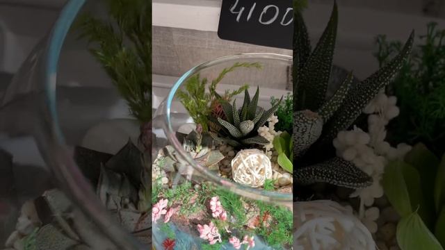 Флорариумы и моссариумы с водоемами, достопримечательностями Санкт-Петербурга и не только! смотреть онлайн