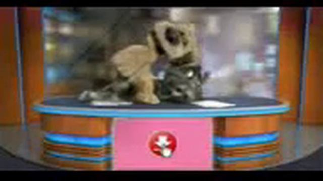 Gola смотреть онлайн