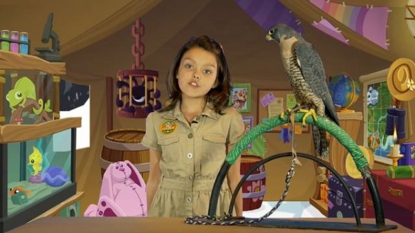 Wild Explorers - Meet a Falcon!