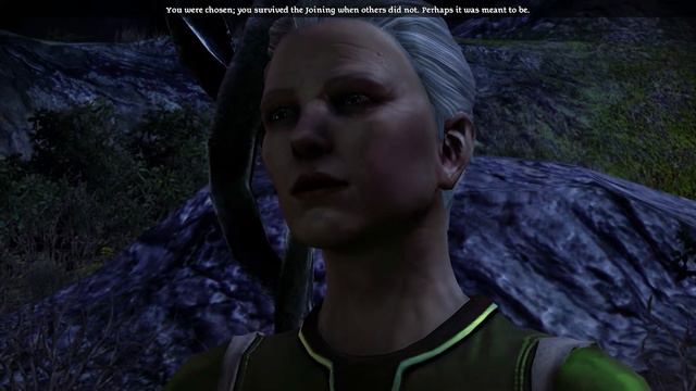 Let's Play Dragon Age Origins Part 37 смотреть онлайн