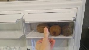 Atlant ХМ 4008-022 холодильник обзор