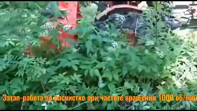 Расчистка участков. Московская область. смотреть онлайн