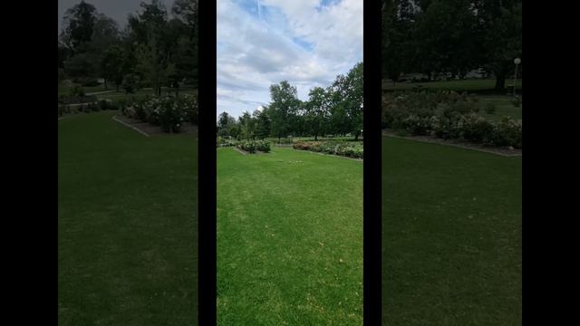 Sunrise city Wagga Wagga2024 🏝🪻⚘️🌷🌿🤍🏝https://youtu.be/8ma74_pOxg8?si=e2H1yfSyYflOkvQO смотреть онлайн