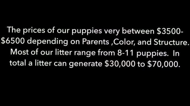 American bully: Investing in Ultra Class Family смотреть онлайн