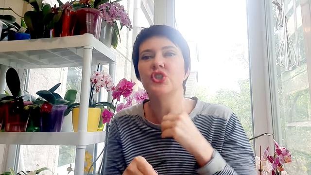 Полив после посадки в кору ОВИ. Часть первая. 23 мая 2020 смотреть онлайн