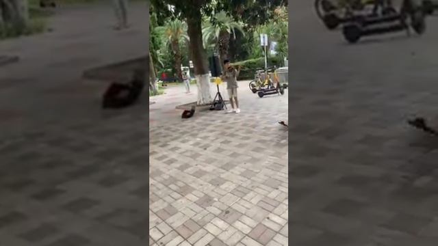 Уличный музыкант на улицах города Сочи, района Адлер смотреть онлайн