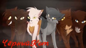 Коты Воители - Клип Я не сплю я живой