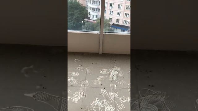 Офис с отделкой смотреть онлайн