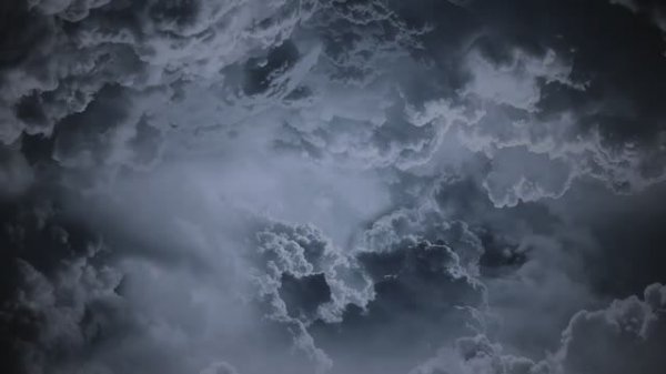 White Fox Music - One Life