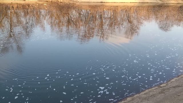 толстолоб на спиннинг, микроджиг в Донецкой области смотреть онлайн