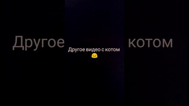 Кот поцарапал смотреть онлайн