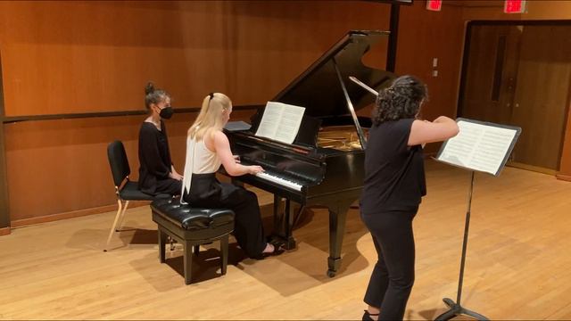 Brahms - Sonata No. 3 For Violin And Piano (I. Allegro)