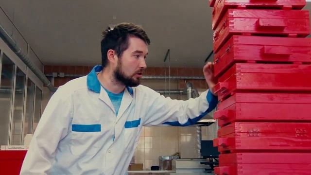 Электроника 2017