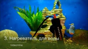 5 вещей, которые нужно купить для красноухой черепахи на AliExpress
