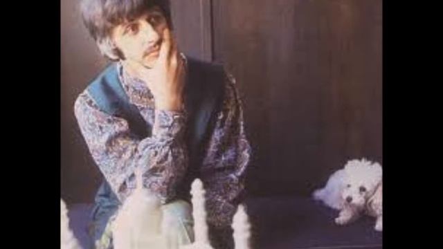 "Ringo's Dog" by the CYCLONES (mid 1960s) "Man that's Groovy" New Dance from across the sea смотреть онлайн