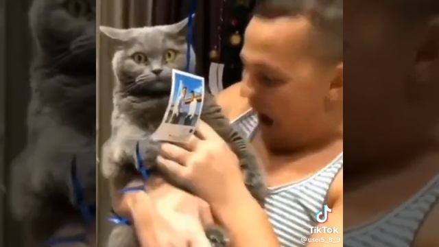 мяууууу откуда он знает кашачий смотреть онлайн