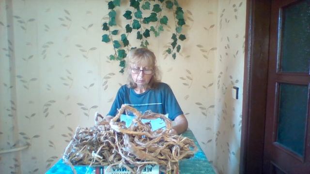 Красный корень и его лечебные свойства смотреть онлайн