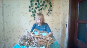 Красный корень и его лечебные свойства