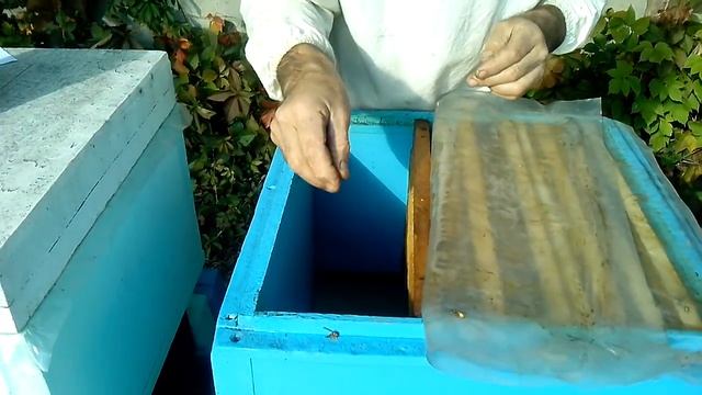 Объединение пчелосемей с матками в изоляторах ч.2 (ульи из ЭППС) 30.09.2013 смотреть онлайн