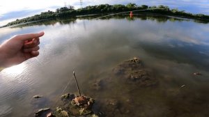 Рыбалка на СОМА, СПИННИНГ с берега.