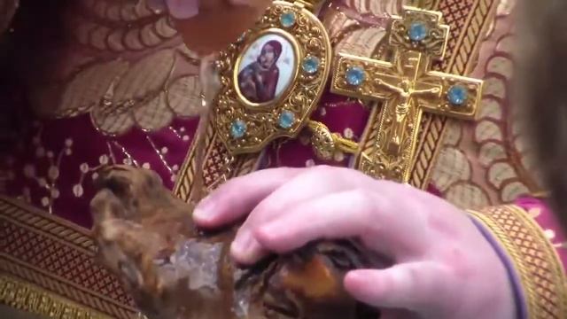 Чин омовения мощей – ``Освящение воды мощами`` смотреть онлайн