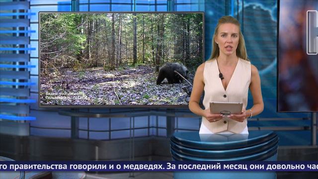 Обнинские новости (за 9 сентября 2024) смотреть онлайн