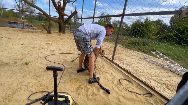 Знакомство Цезаря и Наоми смотреть онлайн