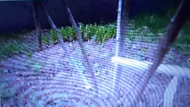 27 05 2023 г. Высота куста гортензии от чего она зависит? Выдумка очередного "ПРОФИ АГРОНОМА" смотреть онлайн