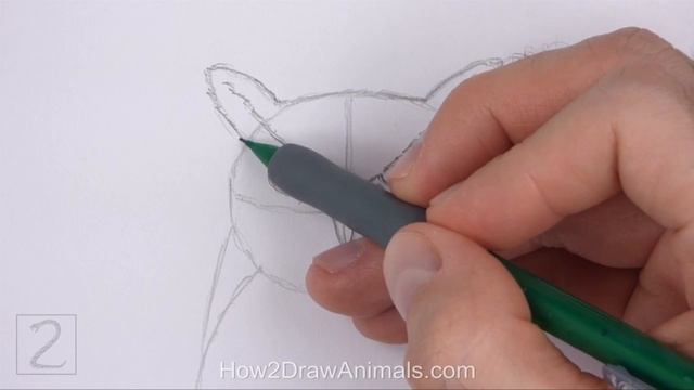 How to Draw an Owl (Great Horned Owl) смотреть онлайн