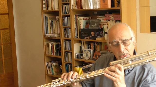 Compare Bass Flutes - Trevor James VS Guo by Denis Barbier смотреть онлайн