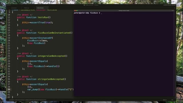 002 - FizzBuzz - Testing Laravel for Complete Beginners смотреть онлайн