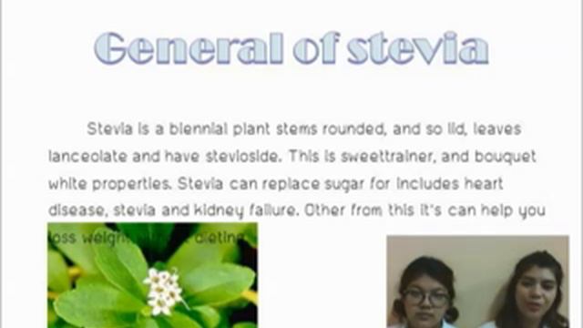 Presentation Stevia with dieting. смотреть онлайн