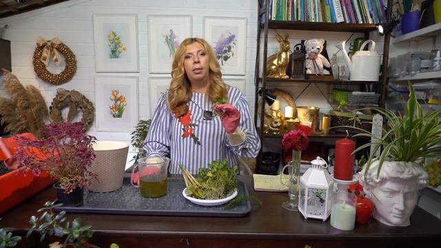 Секреты черенкования герани смотреть онлайн