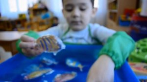 Развитие познавательной активности детей с задержкой психического развития.