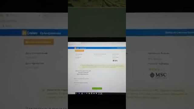 5 причин быть в InCruises (Надежда Самородова) смотреть онлайн