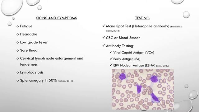 Epstein Barr Virus смотреть онлайн